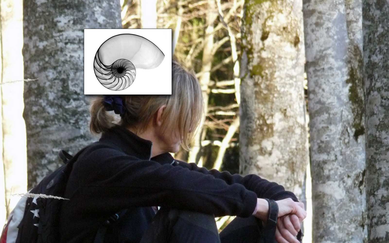 NATURE'S INSPIRATION